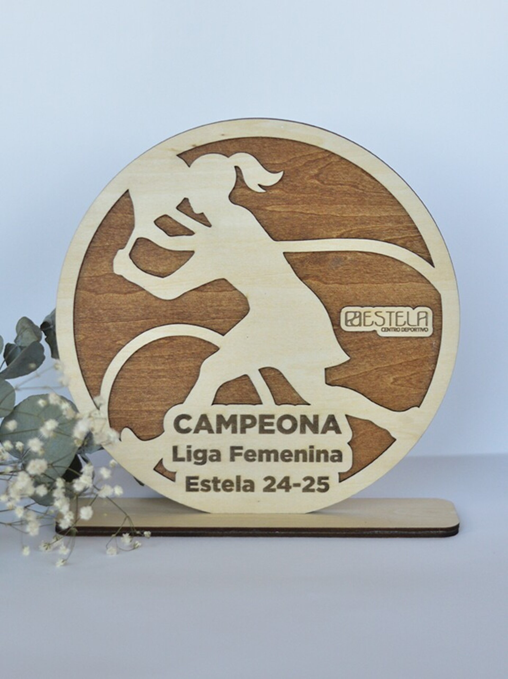 TROFEOS ESTELA 2025 - 3