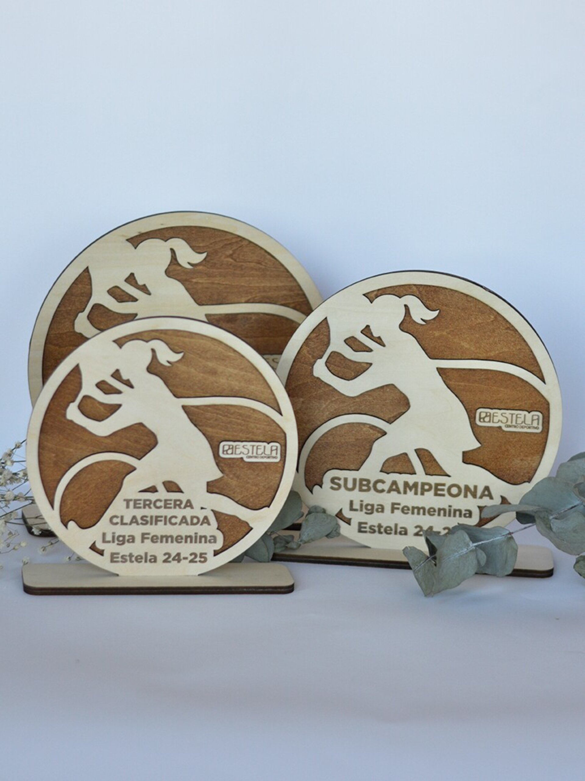 TROFEOS ESTELA 2025 - 2